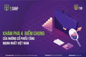 KHÁM PHÁ 4 ĐIỂM CHUNG CỦA NHỮNG CỔ PHIẾU TĂNG MẠNH NHẤT VIỆT NAM